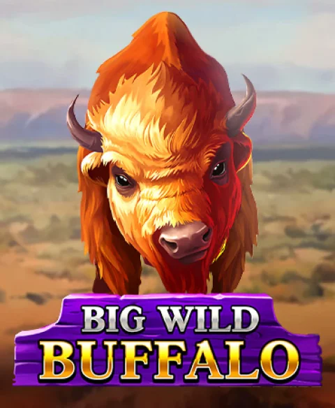 Play Big Wild Buffalo at Nords Casino